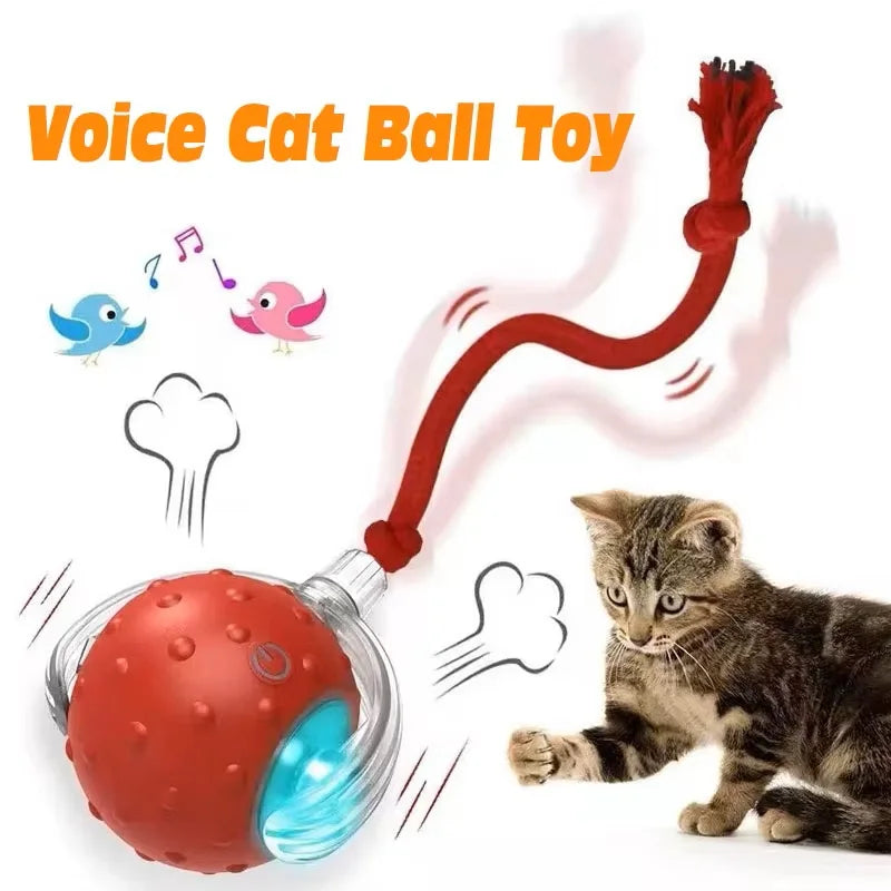 SmartRoll Interactive Motion Ball