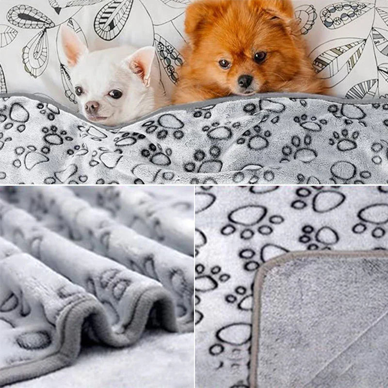 CozyPaw Blanket