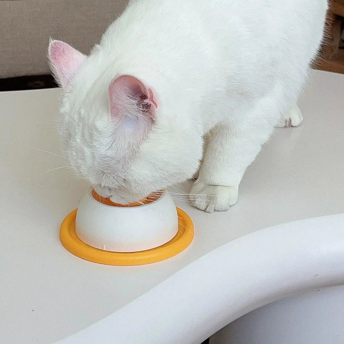 Calm Feeder Bowl