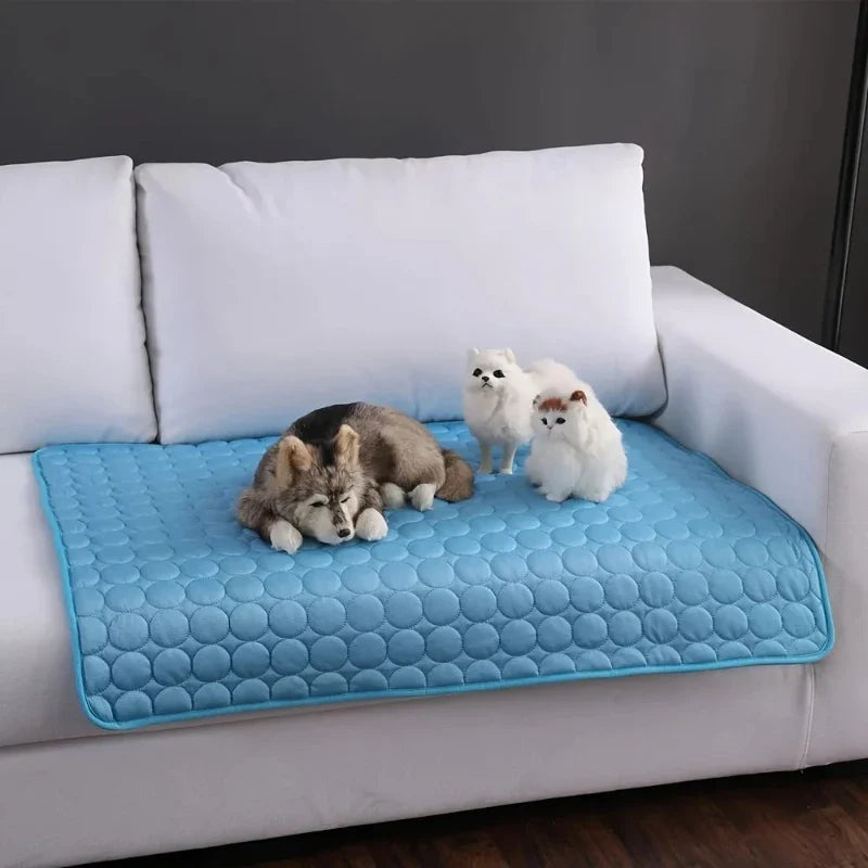 Beds & Furniture