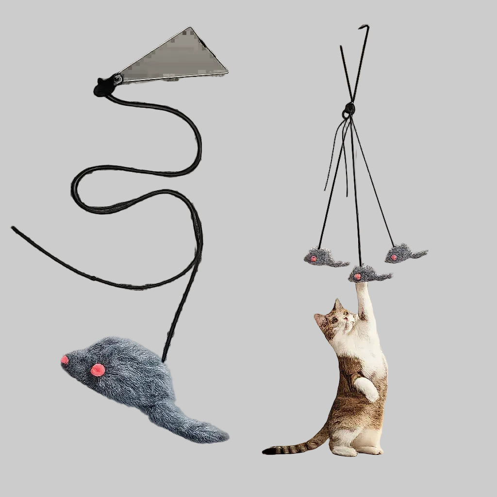 Door Hanging Interactive Cat Toy