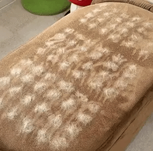 FurAway 2-in-1 Pet Hair Removal Glove
