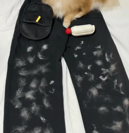 FurAway 2-in-1 Pet Hair Removal Glove