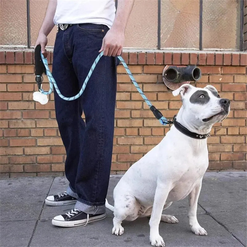 NoctraLead Heavy-Duty Reflective Dog Lead
