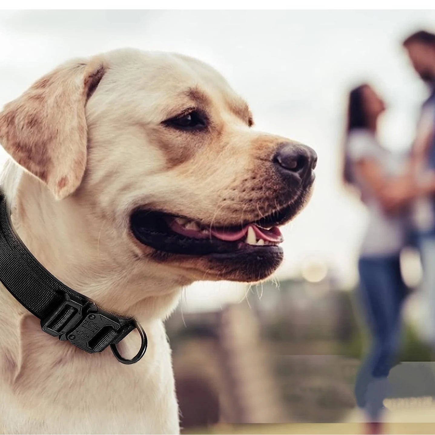 FlexiGuard Quick-Release Dog Collar