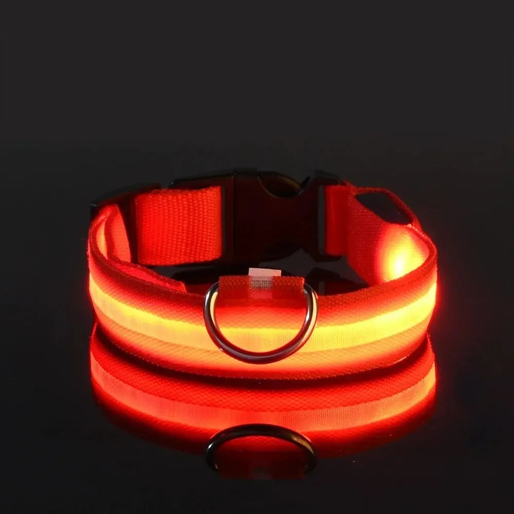 LumaGlow LED Dog Collar