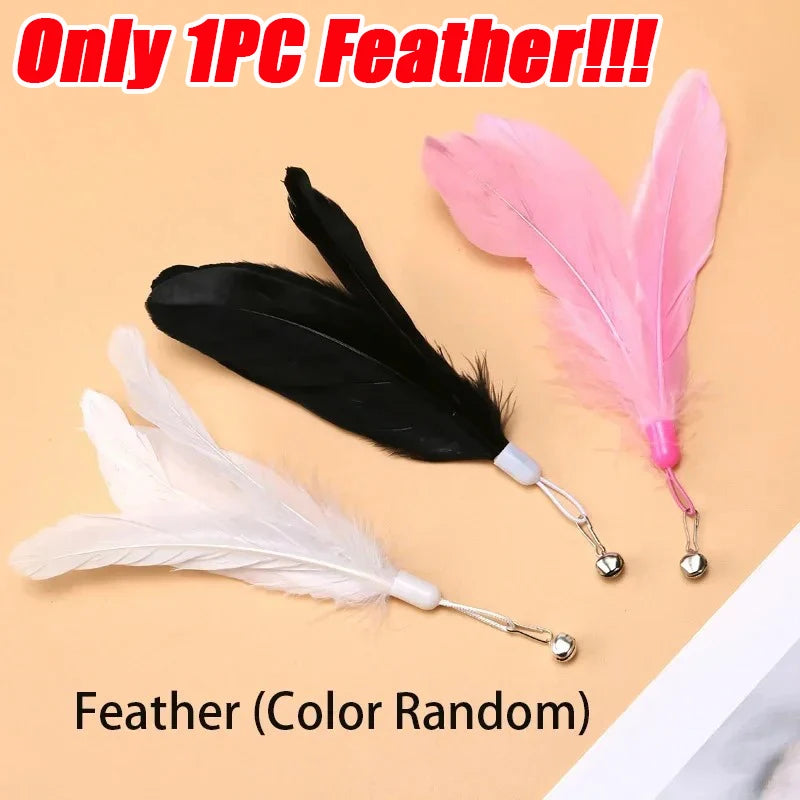 PouncePlay Interactive Feather Teaser