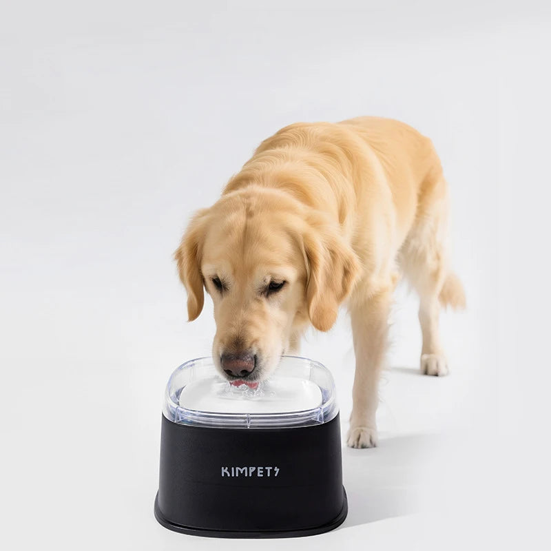 AquaGuard Spill-Proof Smart Water Bowl