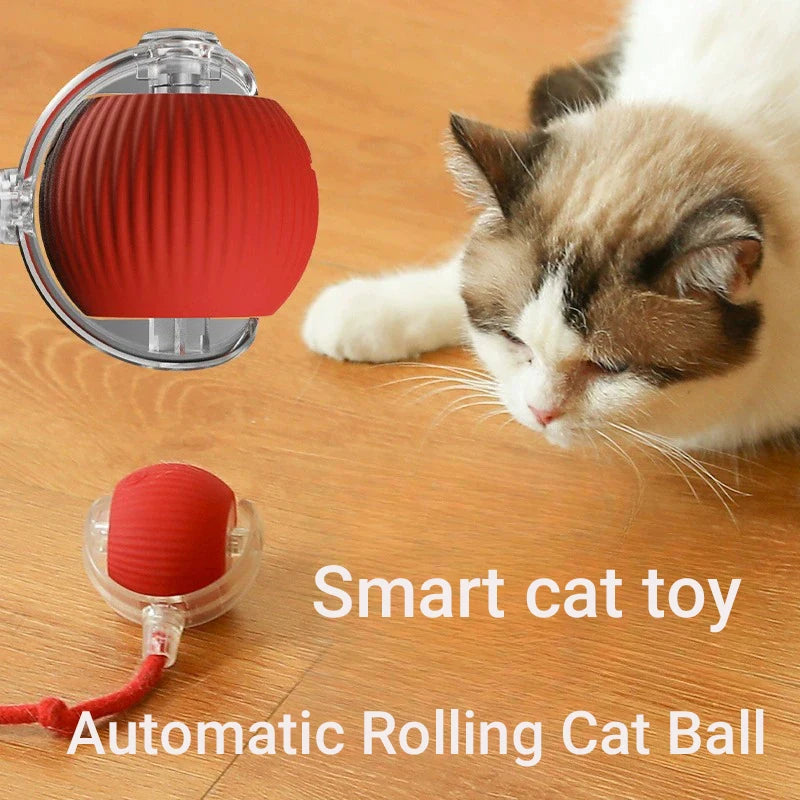 SmartRoll Interactive Motion Ball