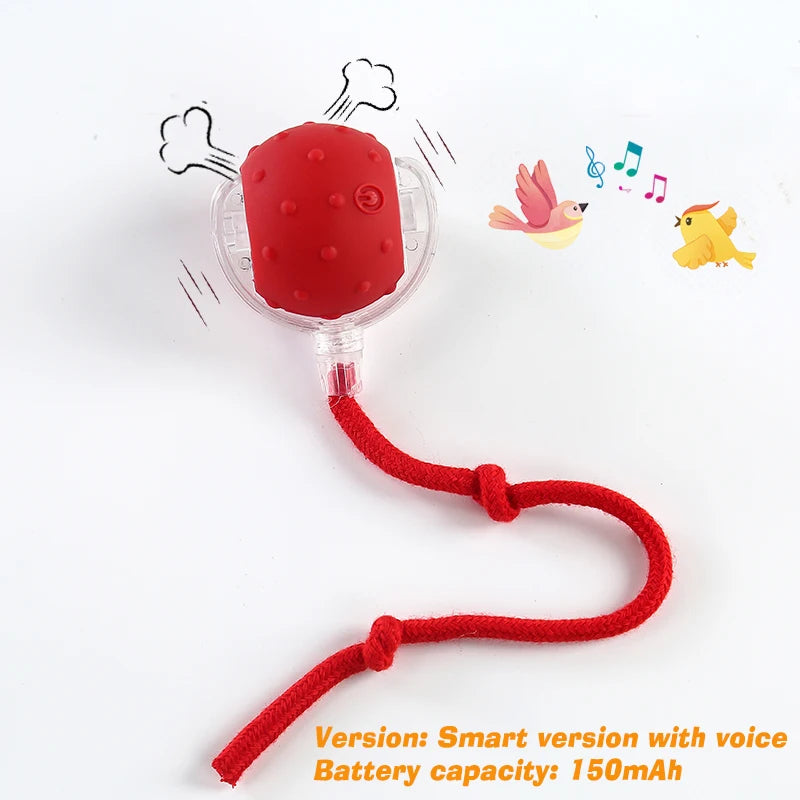 SmartRoll Interactive Motion Ball