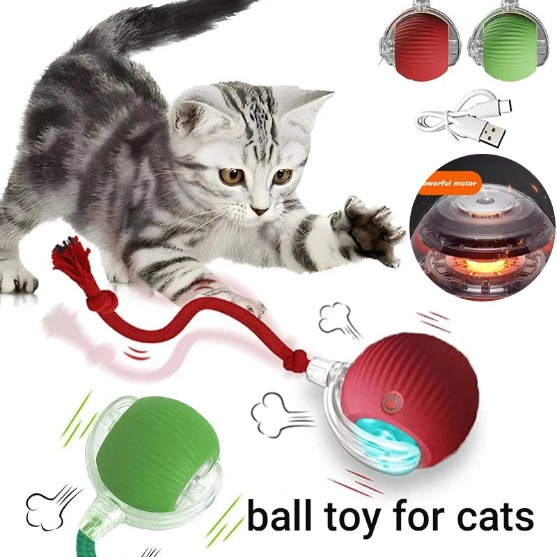 SmartRoll Interactive Motion Ball