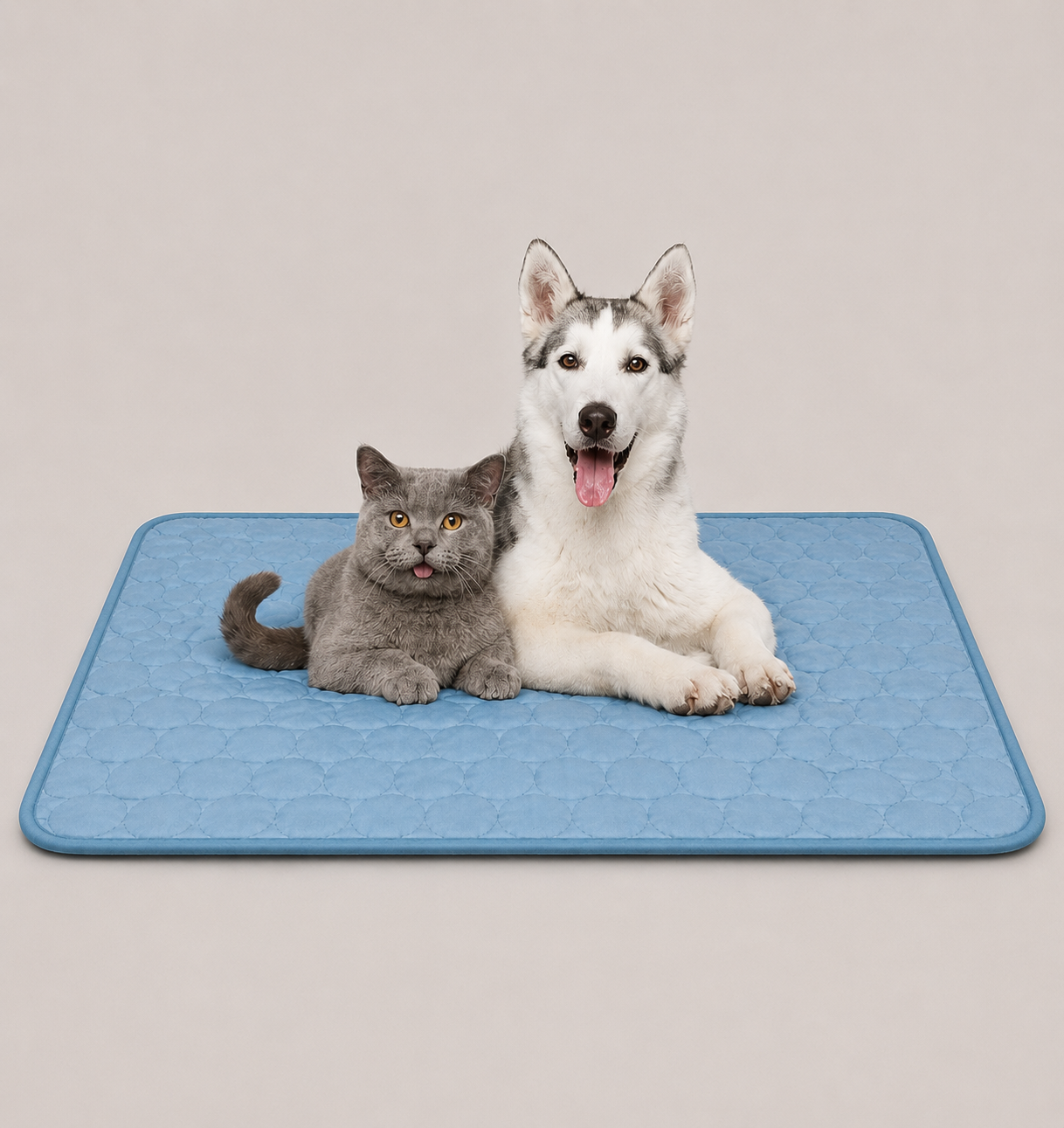 ArcticPaw Cooling Mat